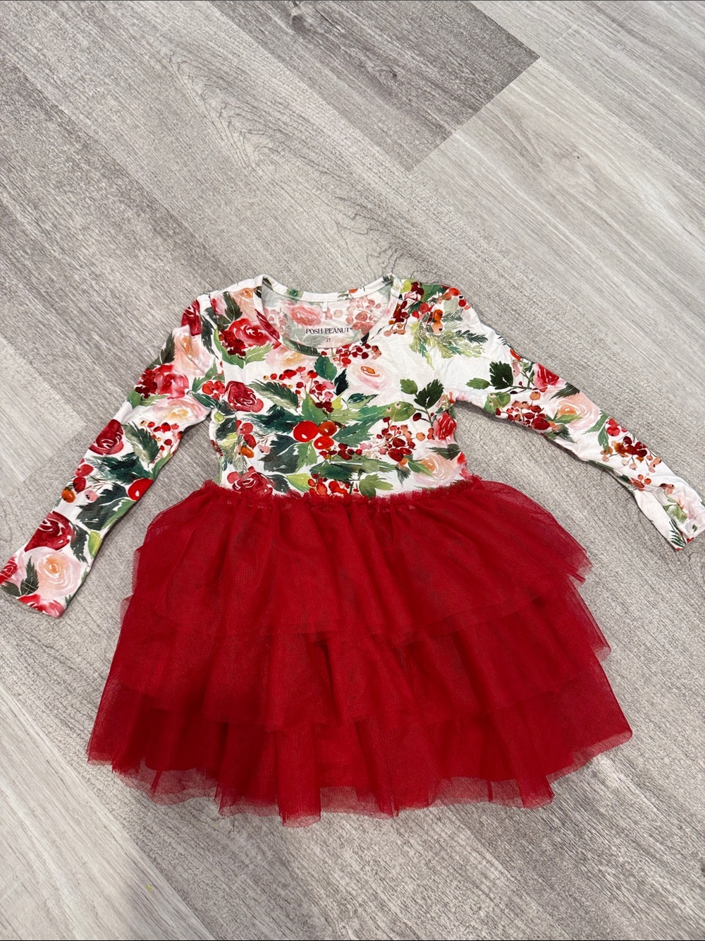 Posh Peanut Red Tulle Skirt Floral Long Sleeve Dress